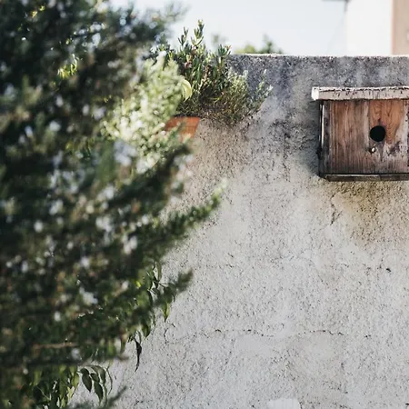 Casa Da Avo Maria Σπίτι διακοπών Vestiaria